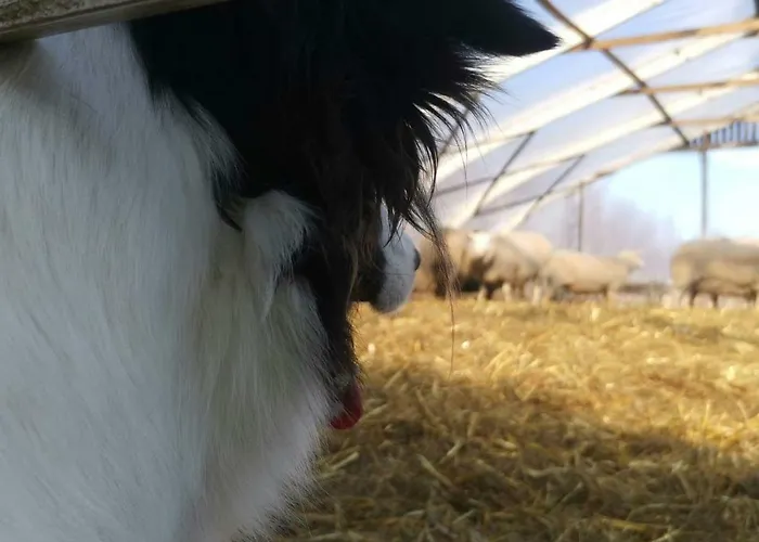 ファームステイ Minnan